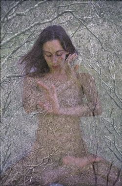 Girls in the Trees - Limited Edition Photographic Art by Christopher Strong